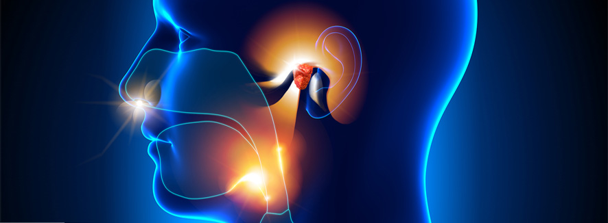 جراحات الرأس والرقبة